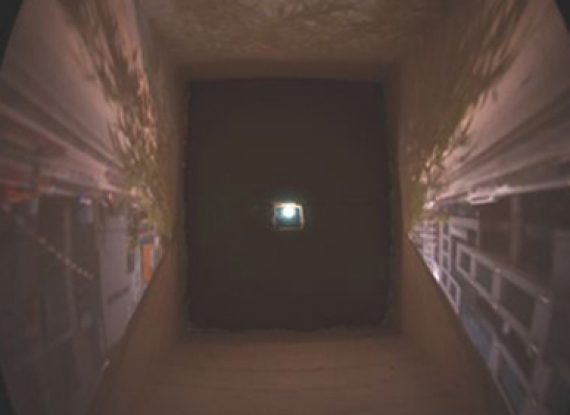 LIMBO