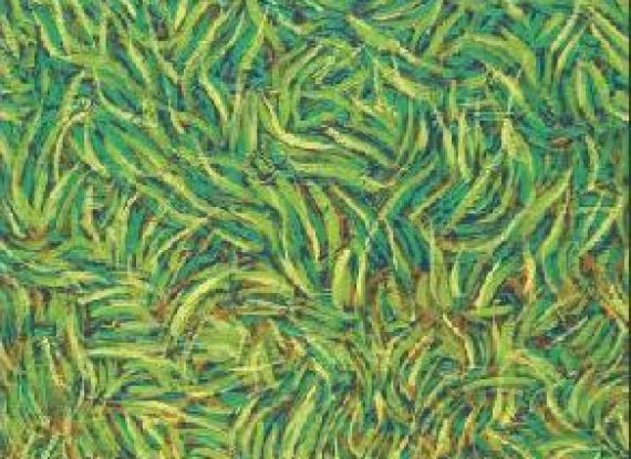 Texture and Colour in Mindscape