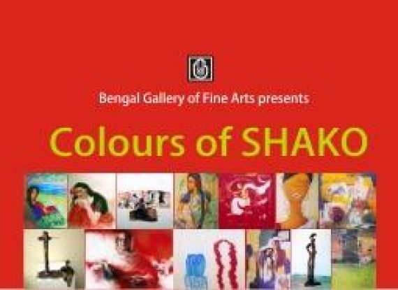 Colours of SHAKO