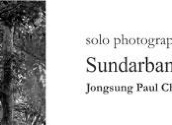 Sundarbans Forest