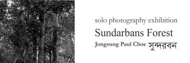 Sundarbans Forest