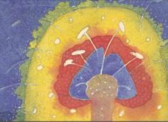 The Path Within