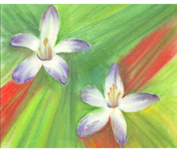 Praner Khela August, 2009