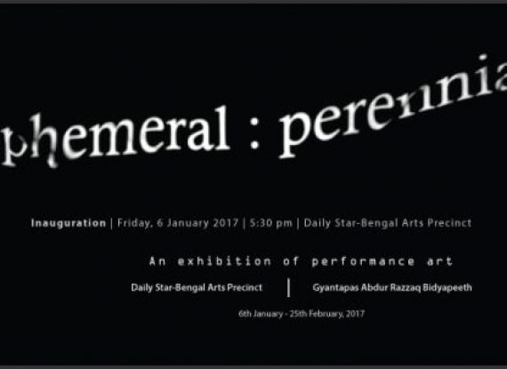ephemeral : perennial