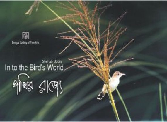 In to the Bird’s World