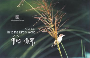 In to the Bird’s World