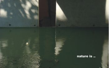 Nature is . . .